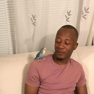 Meet your Posher, Pepe